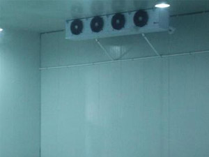 三個小技巧，輕松辨別真假冷庫安裝公司