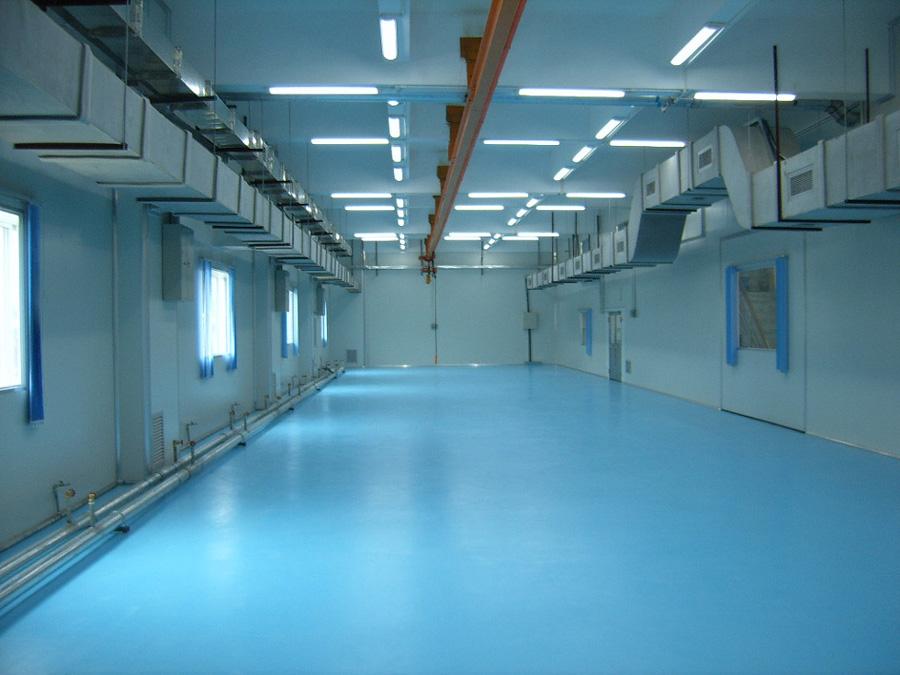東莞鳳崗塑膠電子有限公司十萬級(jí)無塵車間完工